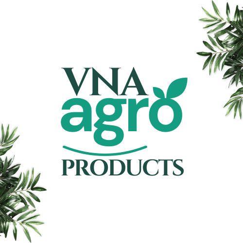 Ultimate Digital Brand Launch for Bold Visionaries